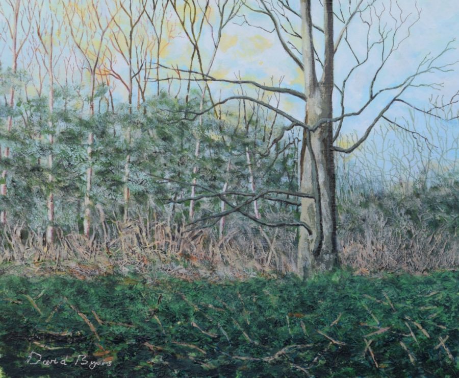 painting of woodland