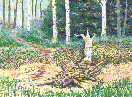 painting of dead birch tree