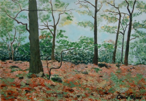 painting of woodland