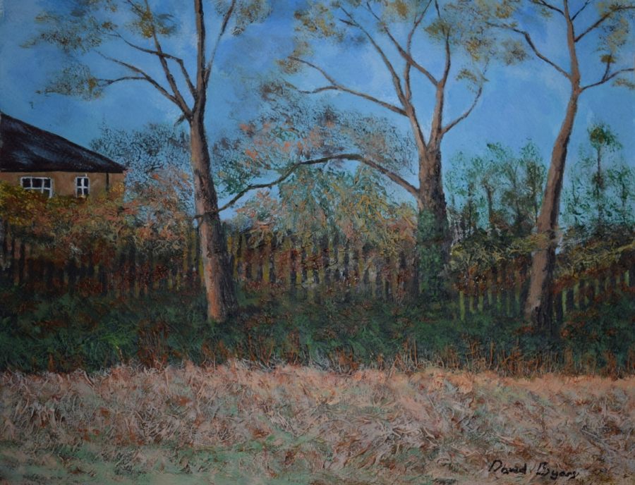 painting of woodland with 3 trees