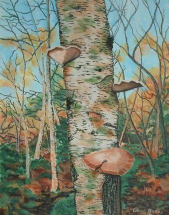 painting of birch tree with fungi