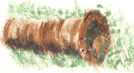 painting of old pipe in grass