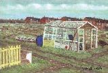 painting - burley allotments