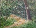 painting - sunlit glade